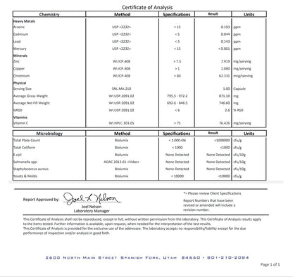Women's ELITE Multi-Matrix