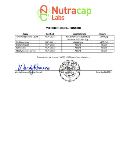 ELITE Power Surge Pre-Workout - Tropical Sunrise