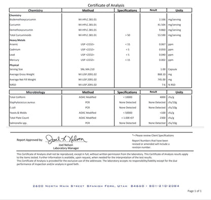 ELITE Turmeric + BioPerine — Joint & Mobility Support